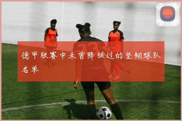 德甲联赛中未曾降级过的坚韧球队名单