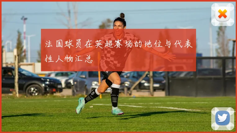 法国球员在英超赛场的地位与代表性人物汇总
