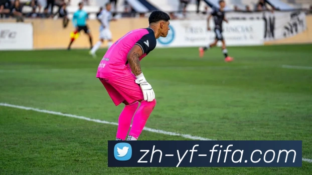 世界杯赛程服务体系