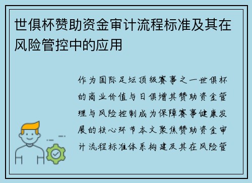 世俱杯赞助资金审计流程标准及其在风险管控中的应用